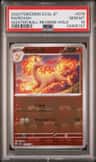 Rapidash