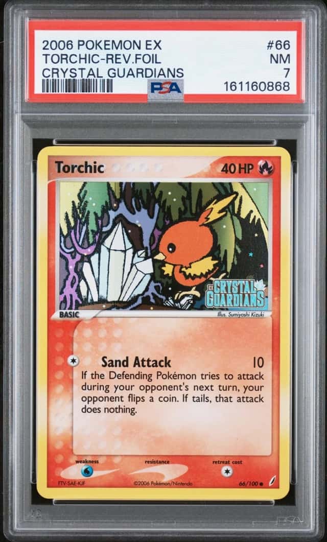 Torchic