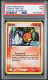 Torchic