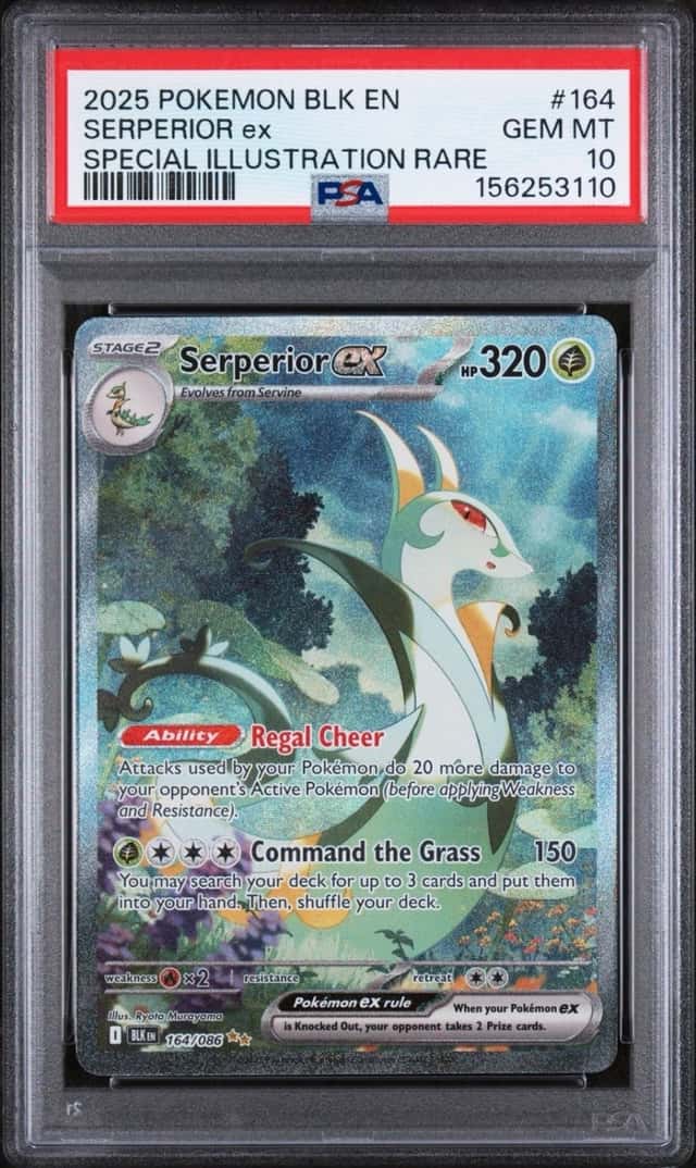 SERPERIOR ex