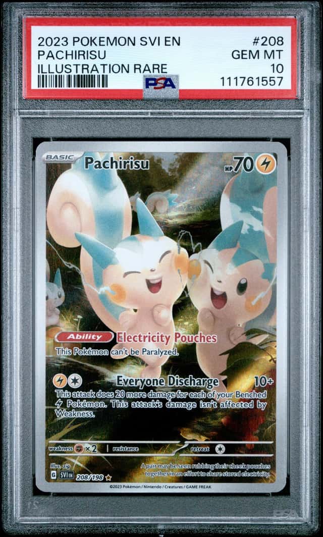 Pachirisu