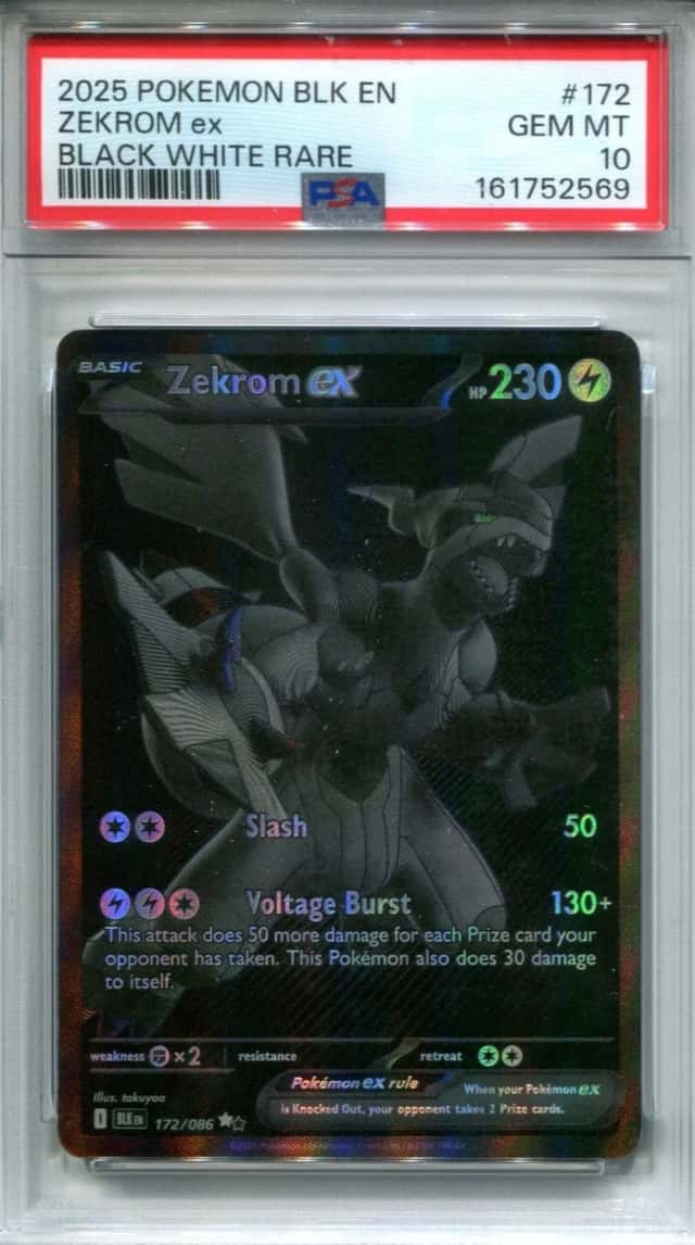 ZEKROM ex