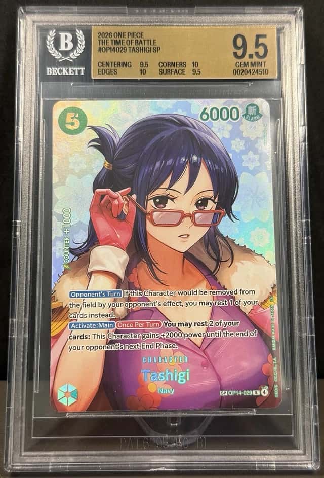 Tashigi SP
