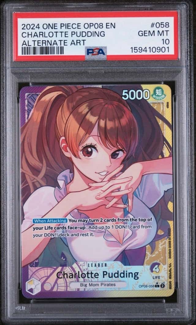 Charlotte Pudding