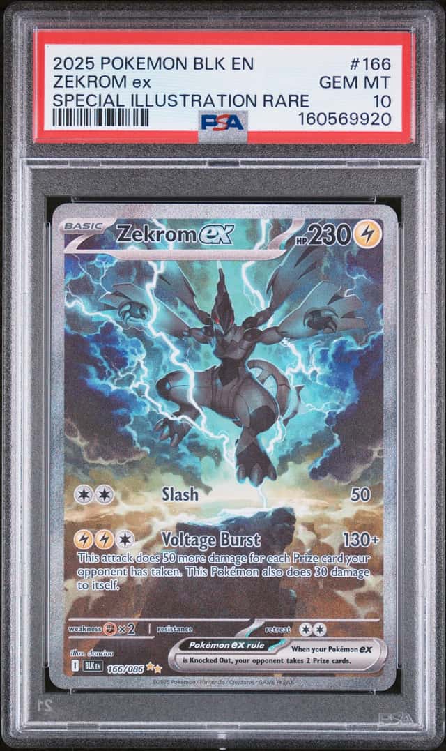 ZEKROM ex