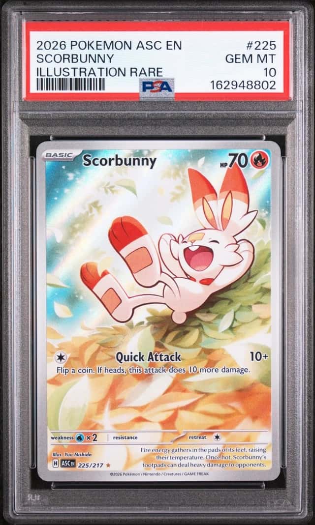 Scorbunny