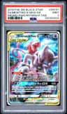 Mewtwo & Mew Gx