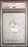 Ledyba