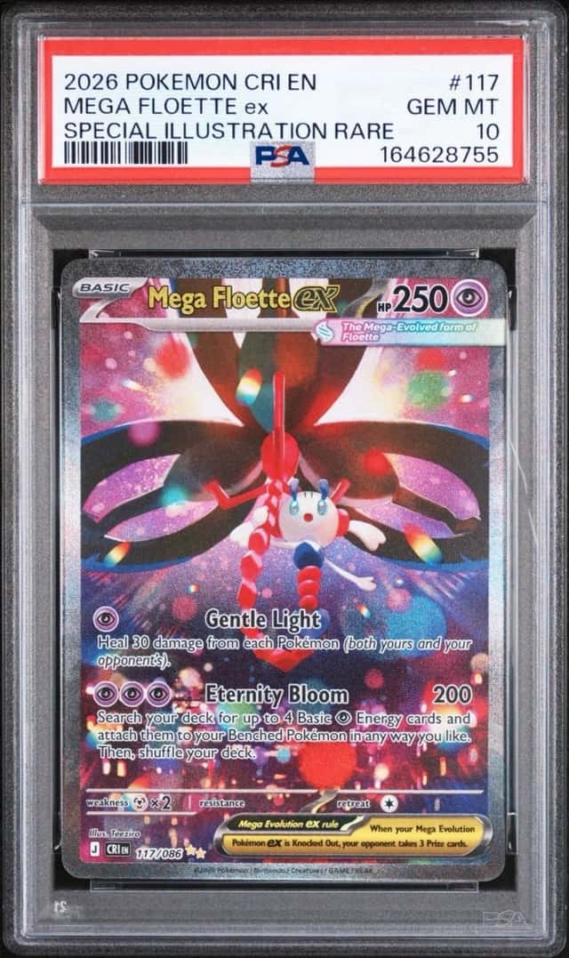 MEGA FLOETTE ex
