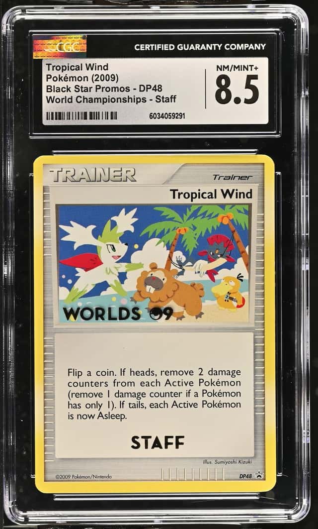 Tropical Wind