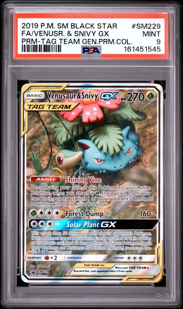 Venusaur & Snivy GX