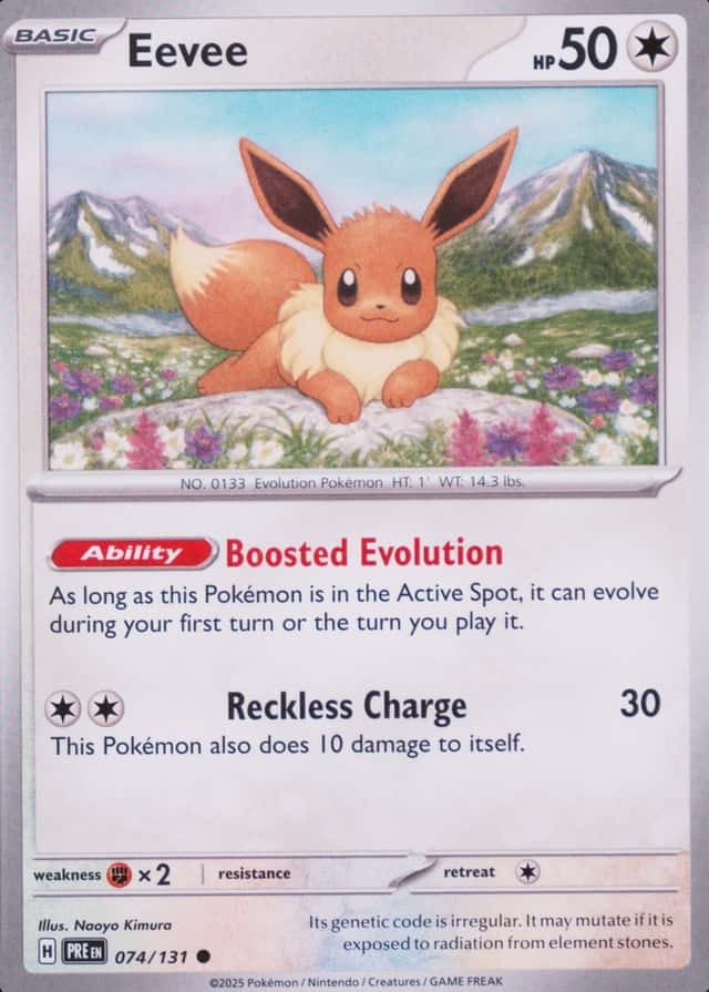 Holo