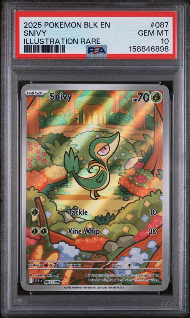Snivy