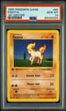 Ponyta