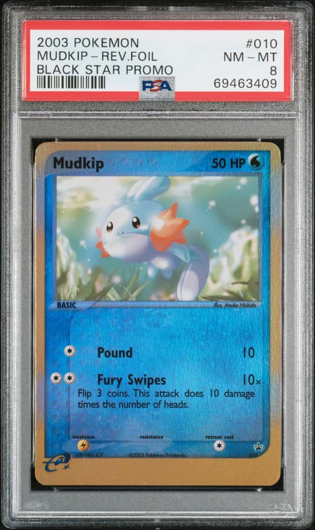 Mudkip