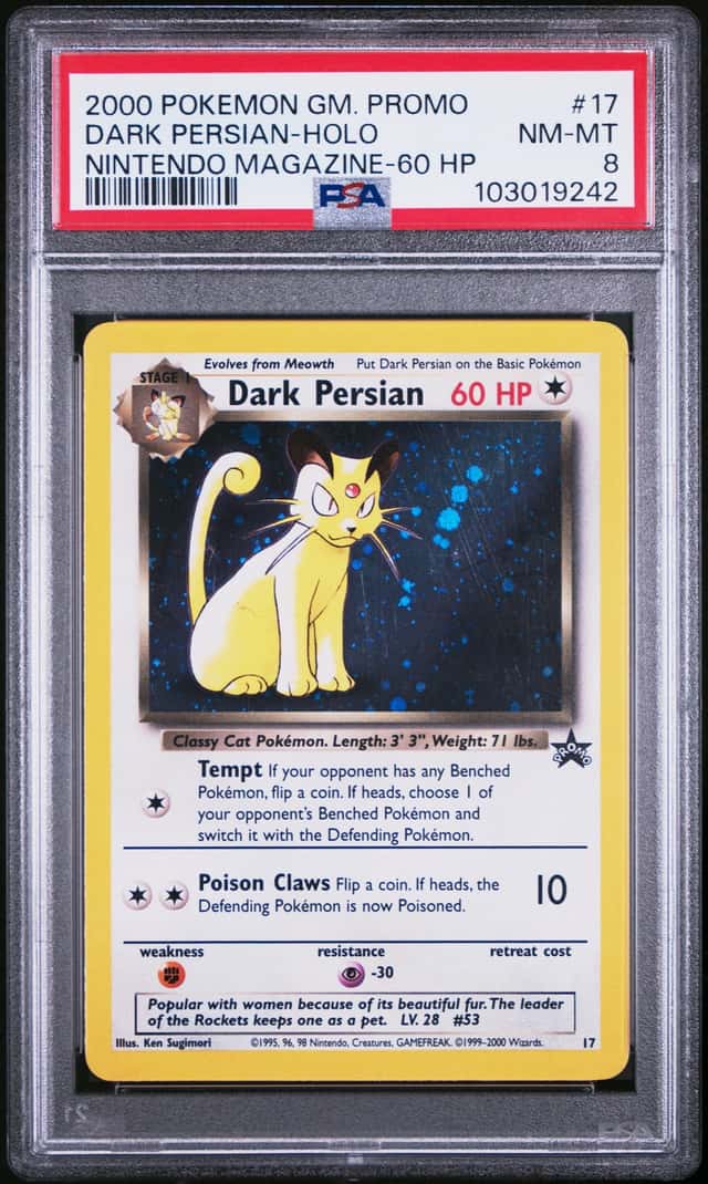 Dark Persian