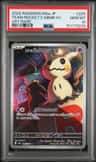 Team Rocket'S Mimikyu
