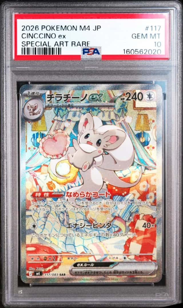 CINCCINO ex