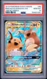 Raichu & Alolan Raichu Gx