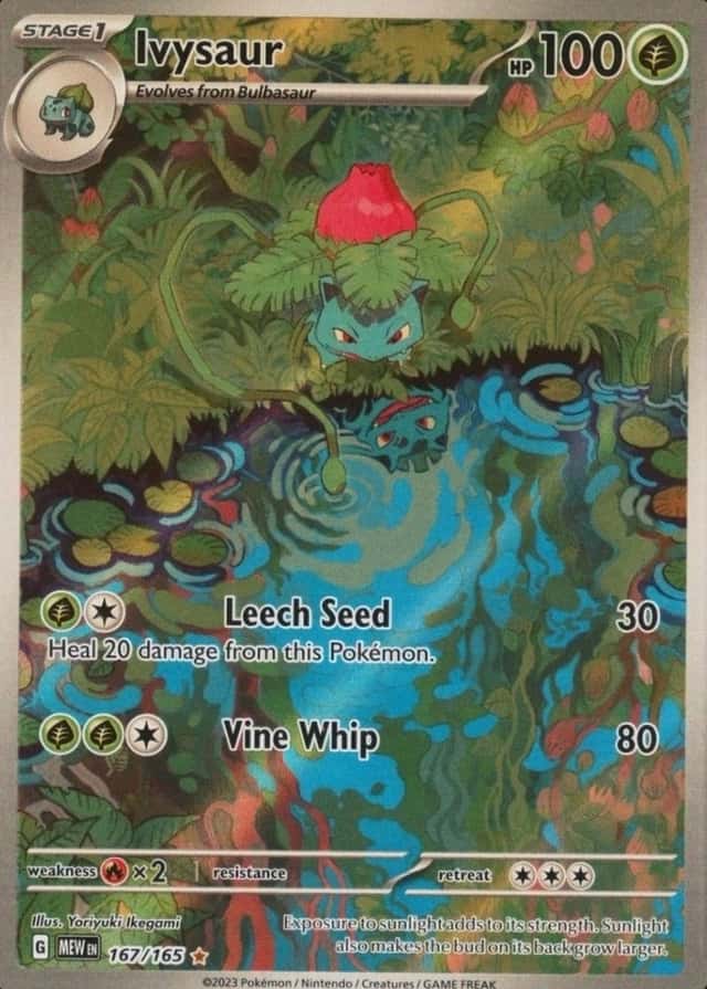 Base / no variant