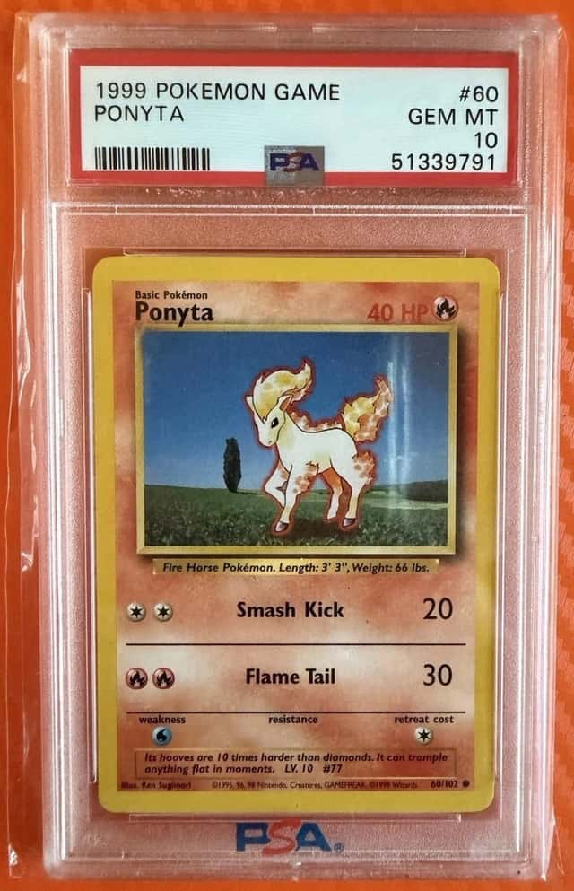 Ponyta