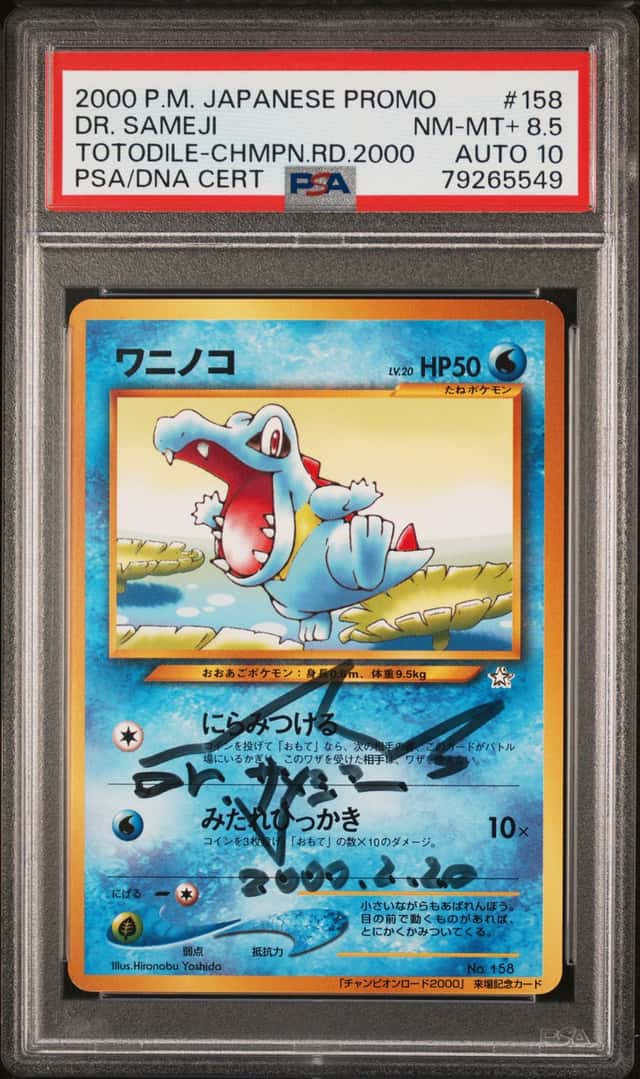 Totodile