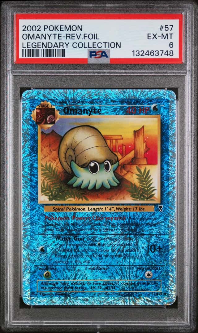 Omanyte