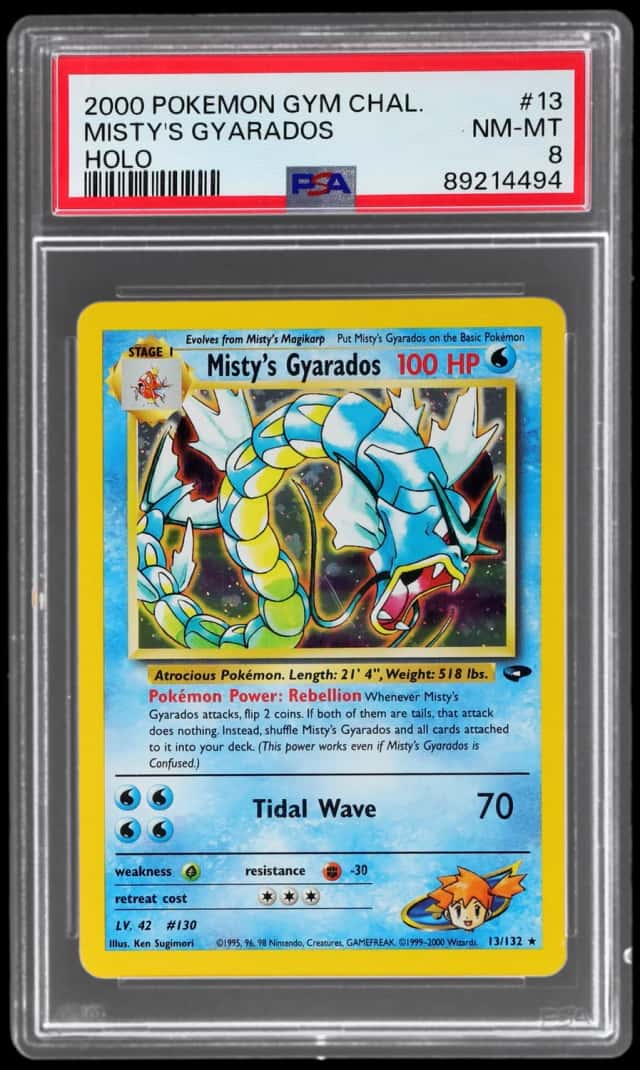Misty's Gyarados