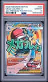 Mega Lucario Ex