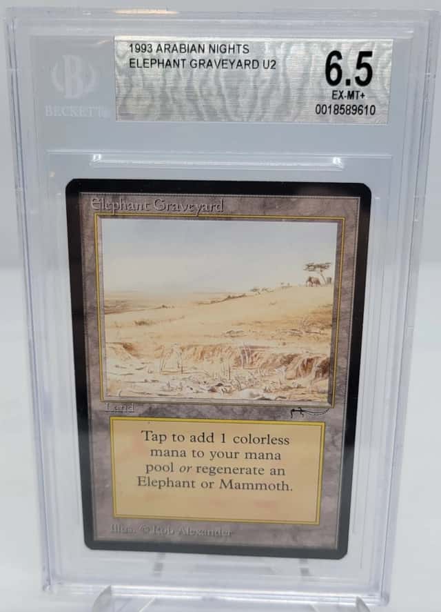 Elephant Graveyard U2