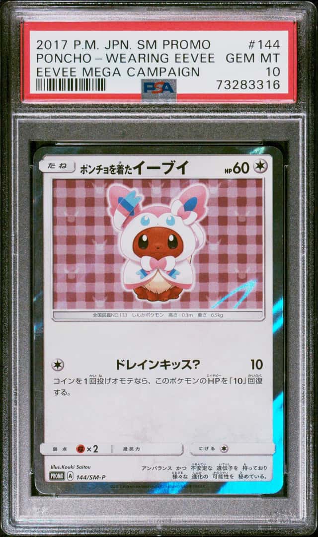 Poncho-Wearing Eevee