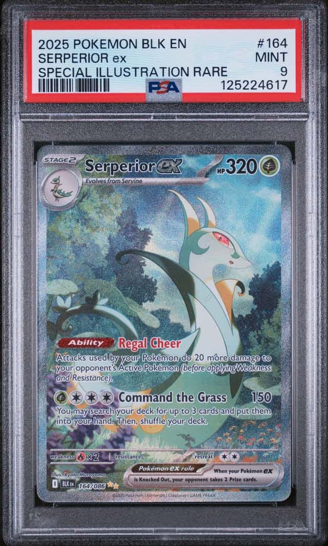 SERPERIOR ex