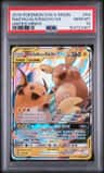 Raichu & Alolan Raichu Gx