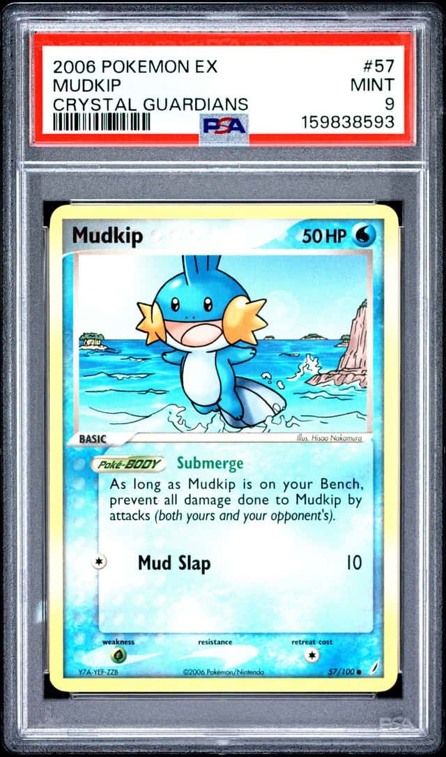 Mudkip