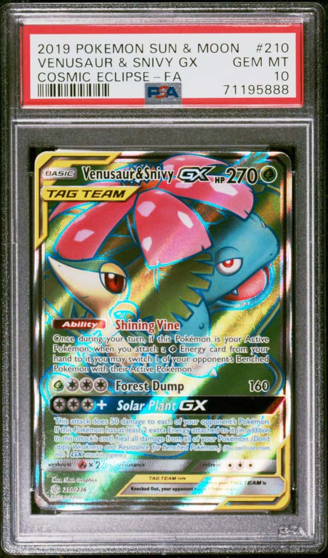 Venusaur & Snivy GX