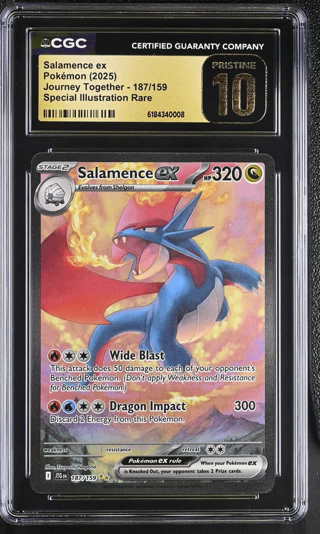 SALAMENCE ex