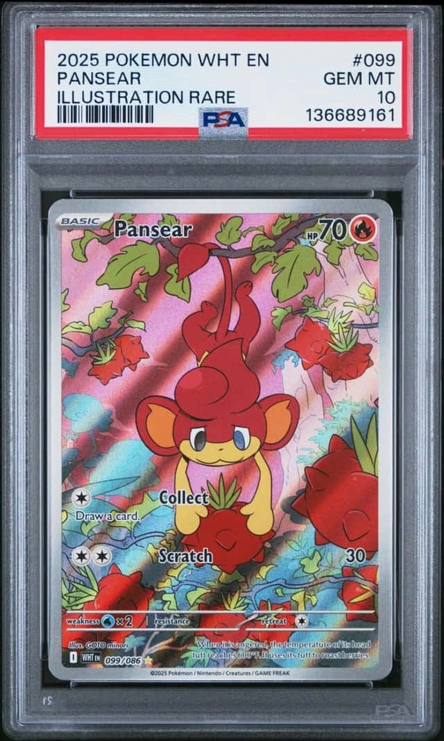Pansear