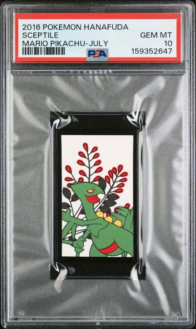 Sceptile