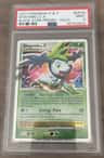 Shaymin Lv.x/(2009 Spring Collector'S Tins) P