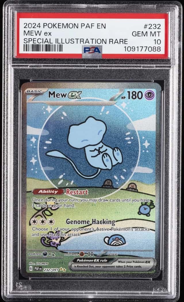MEW ex