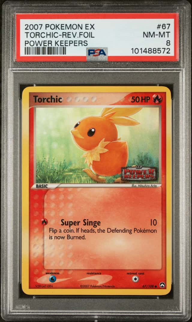 Torchic
