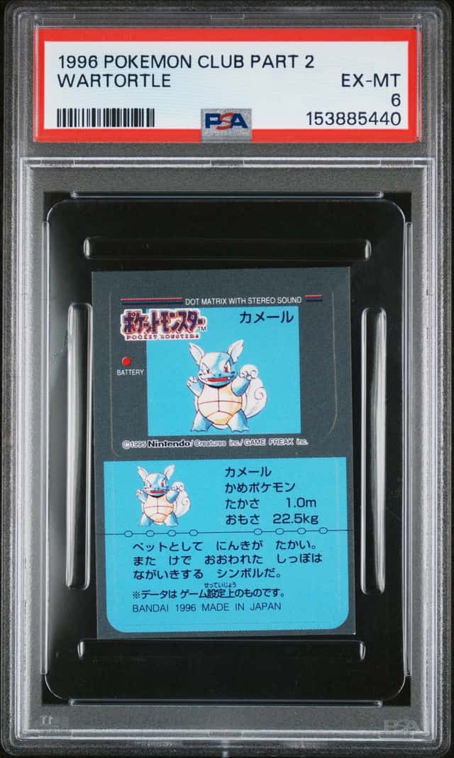 Wartortle