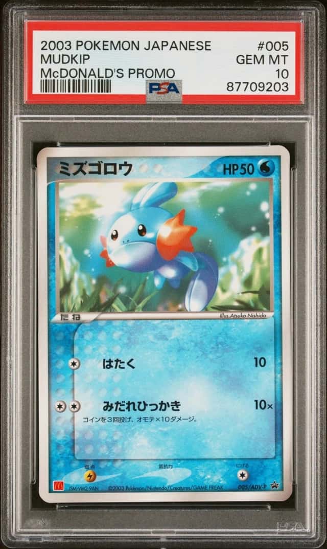 Mudkip