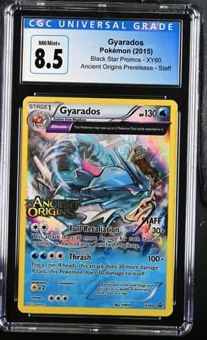 Gyarados