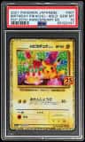 _____'S Pikachu