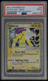 Raikou Ex
