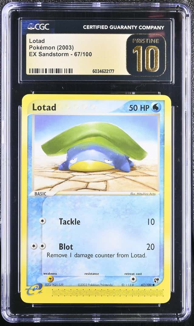 Lotad