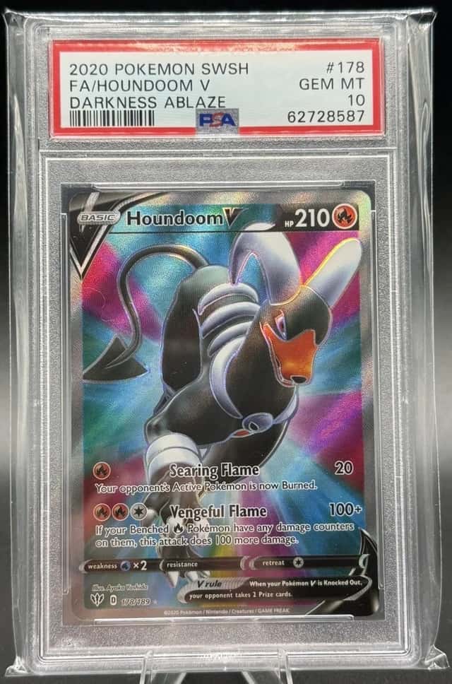 Houndoom V