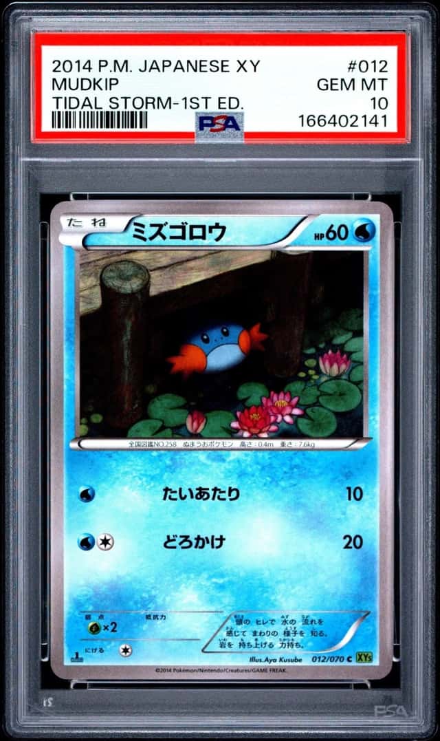 Mudkip