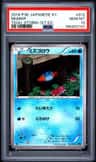 Mudkip